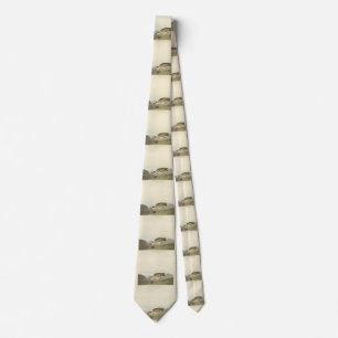 Gravata Rocky Mountain Plover - Aves da América de Audubon