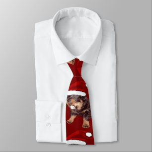 Gravata Rottweiler Natal Fofo Com Chapéu Vermelho de Papai