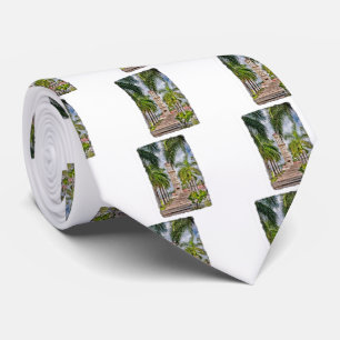 Gravata Ruas das Ilhas Virgens Americanas. Croix Palm Tree