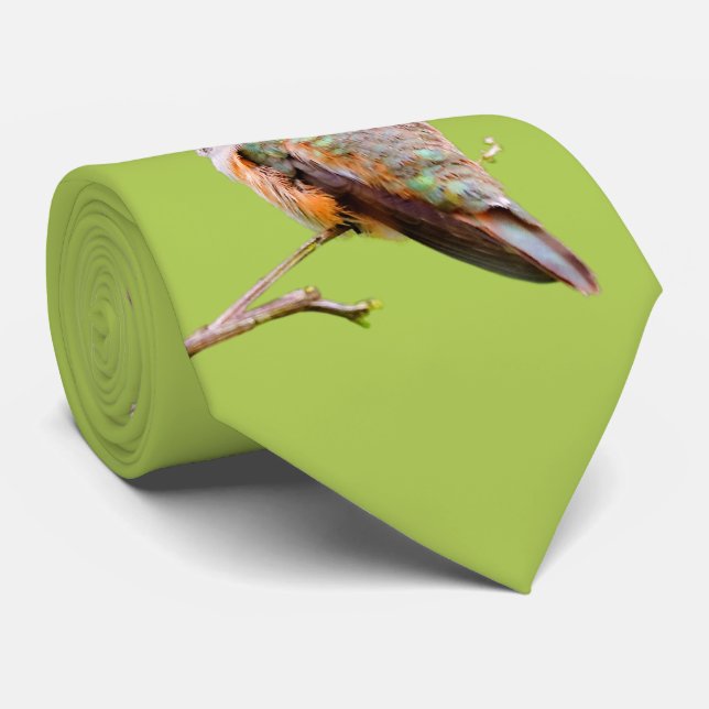 Gravata Rufous Hummingbird Sentado no Lilac da Califórnia (Rolled)