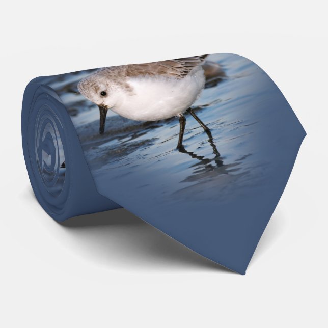 Gravata Sanderling Stroll em uma praia de inverno (Rolled)