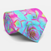 Sedum Rosette Quente Rosa e Azul Suculente