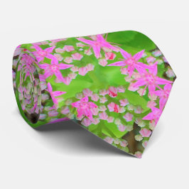 Gravata Sedum Suculto Rosa Quente com Folhas Verdes Inchad