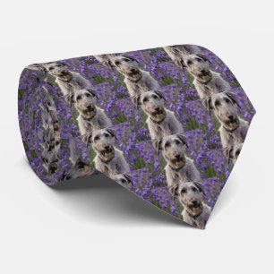 Gravata Serene Majestade: Wolfhound Sentado em uma Íris Ro