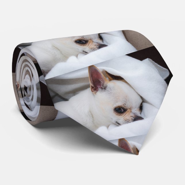 Gravata Seu cachorro de estimação foto personalizada chihu (Rolled)
