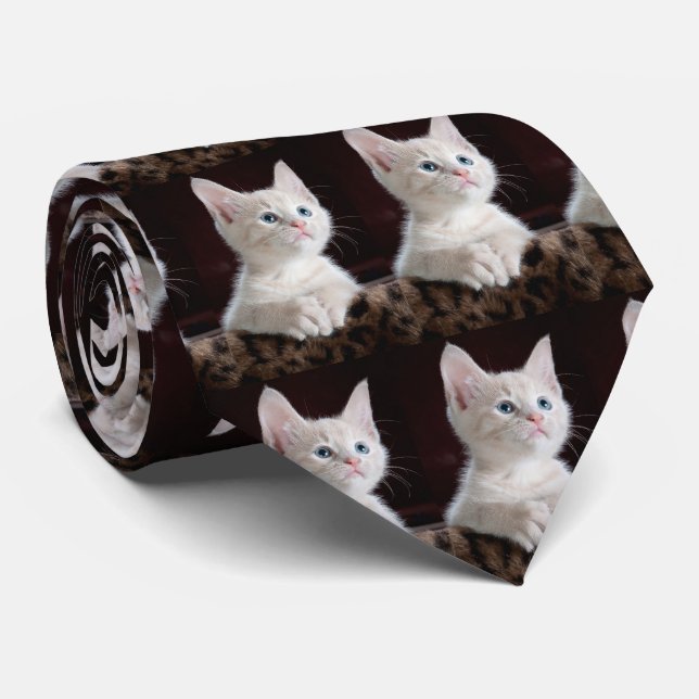 Gravata Seu costume da foto do retrato (Rolled)