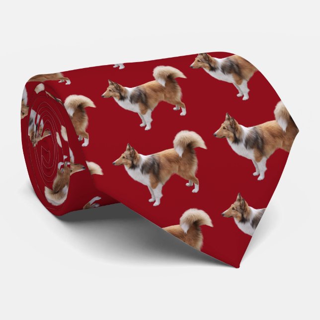 Gravata Shetland Sheepdog (Rolled)