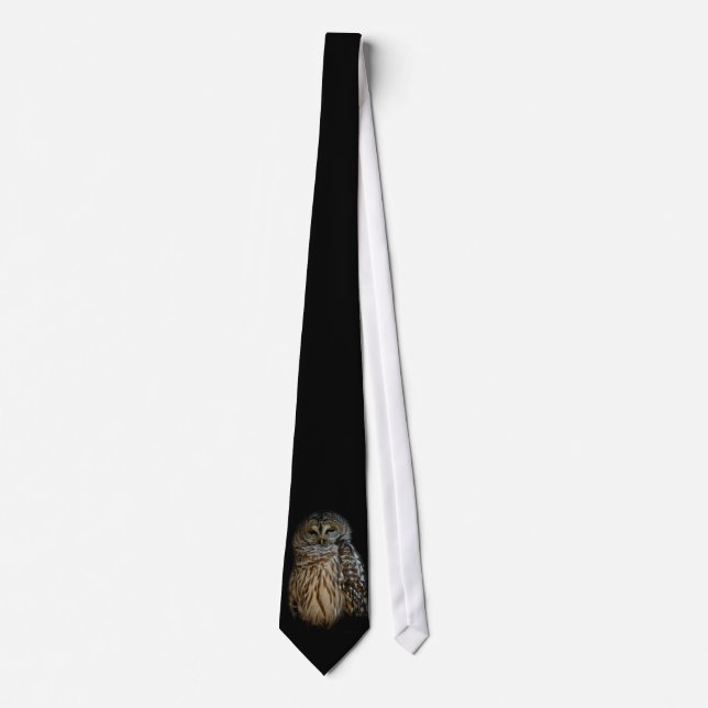 Gravata Sleepy Owl Tie (Frente)