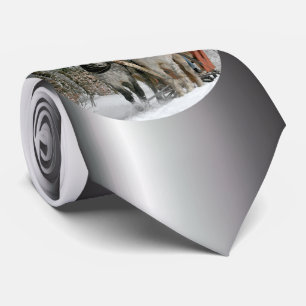 Gravata Sleigh Ride in the Snowy Forest