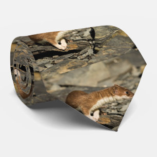 Gravata Sniffing Weasel