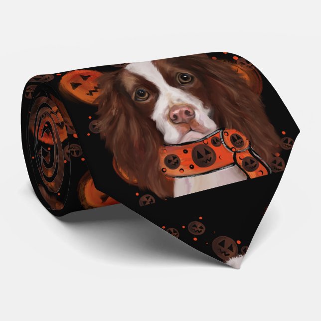 Gravata Springer Spaniel Inglês       (Rolled)