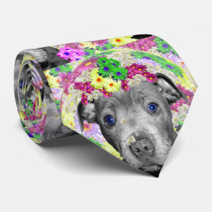 Gravata Staffordshire Bull Terrier E Daisies,
