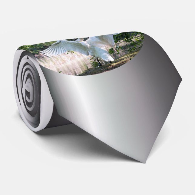 Gravata Swan com Espalhamento de Asas (Rolled)