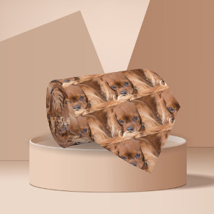 Gravata Sweet Ruby Cavalier King Charles Spaniel