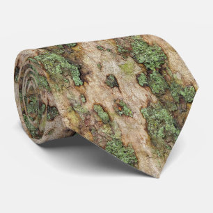 Gravata Sycamore Tree Latido Moss Lichen