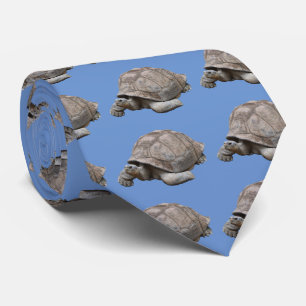 Gravata Tartaruga gigante Galápagos