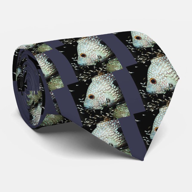 Gravata Texas Cichlid (Rolled)