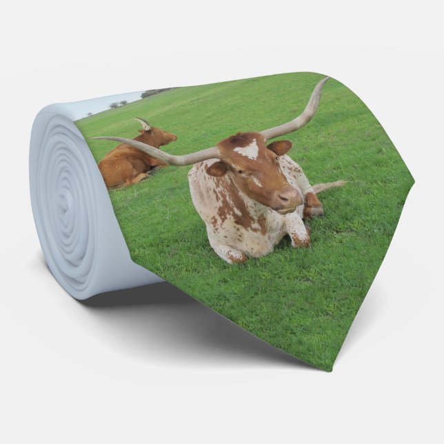 Gravata Texas Longhorn Steer No Campo Impressão No Necktie (Rolled)