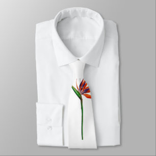 Gravata Tie