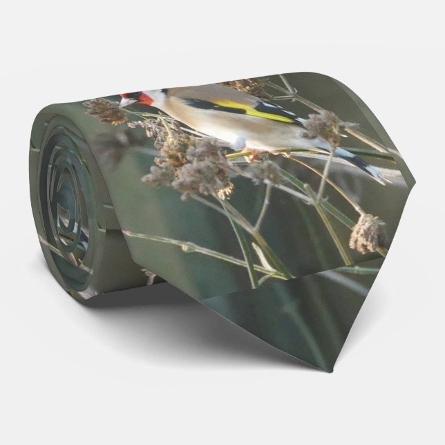 Gravata Tie Goldfinch (Rolled)