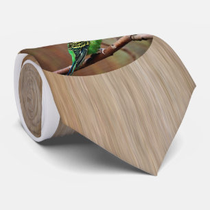 Gravata Tiger Parakeet