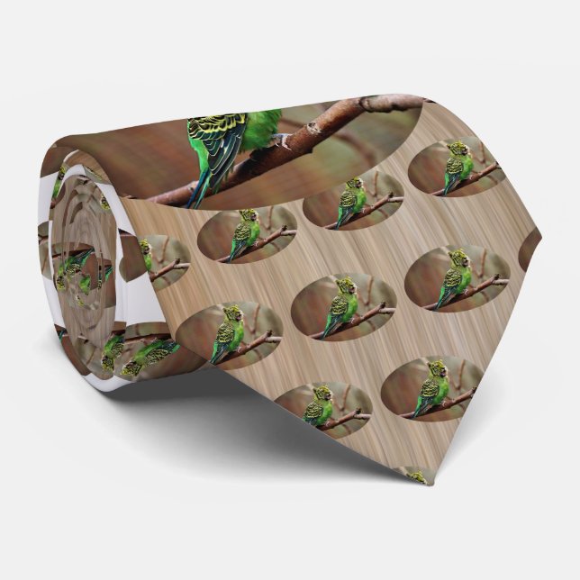 Gravata Tiger Parakeet (Rolled)