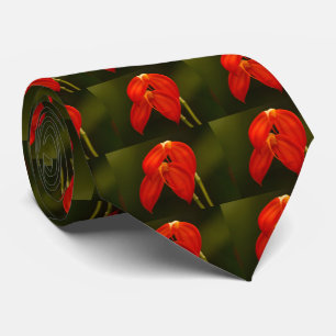 Gravata Torneio Masdevallia ignea