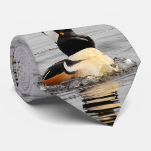 Gravata Um Merganser Hooded Surpreendido