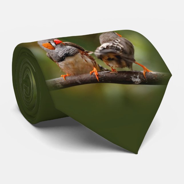 Gravata Um par de peitos de zebra (Rolled)