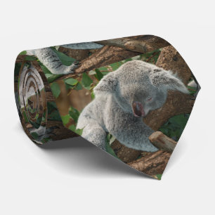 Gravata Urso de Koala do sono