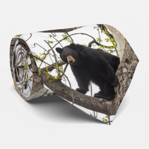 Gravata Urso preto de escalada