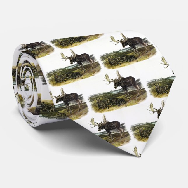 Gravata veado-alce (alces-alces-alces) de Audubon (Rolled)