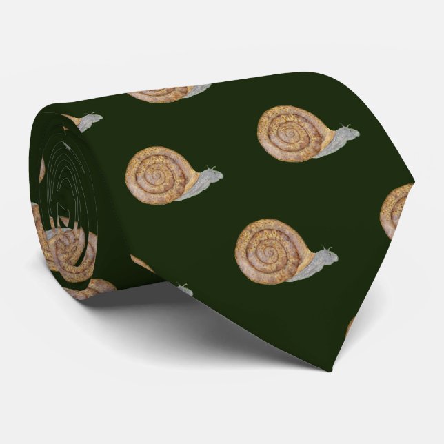 Gravata Watercolor Snail (Rolled)