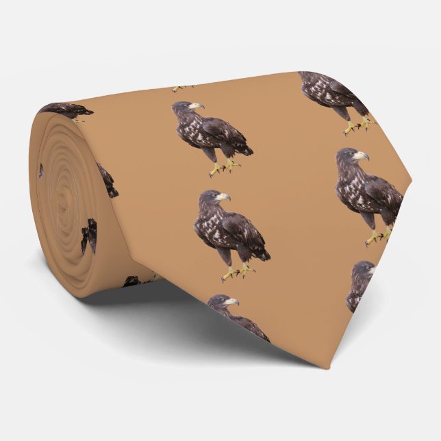 Gravata White-tailed eagle (Rolled)