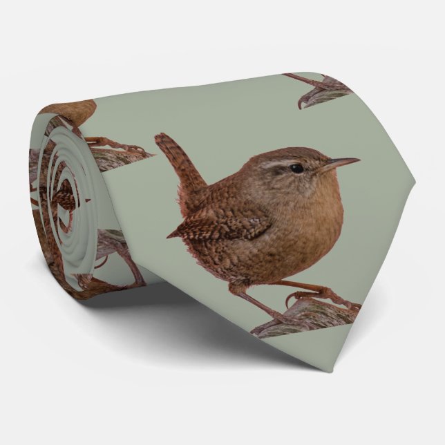 Gravata Wren (Rolled)