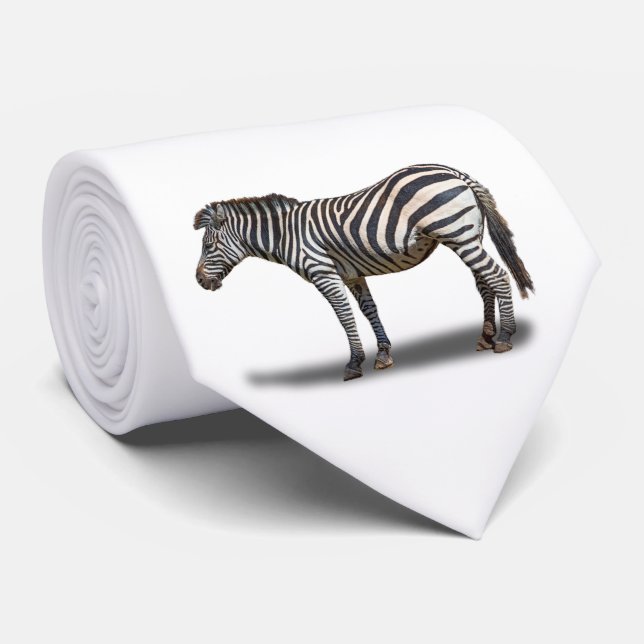 GRAVATA ZEBRA (Rolled)