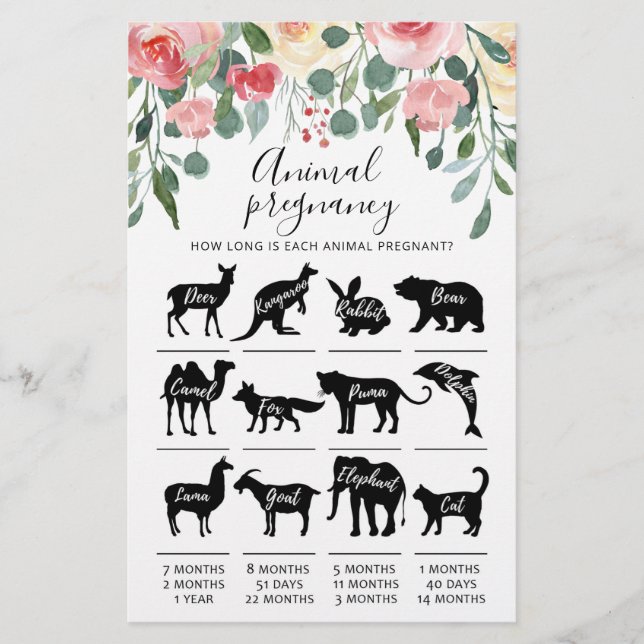 Gravidez Animal com Jogo do Chá de fraldas de Resp (Frente)