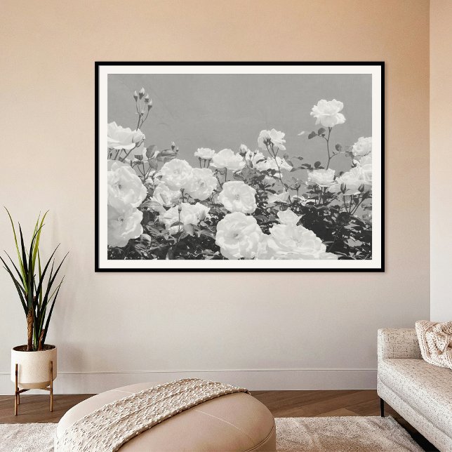 Gray Roses Floral Garden Photo Art Print Poster (Criador carregado)