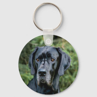Great Dane chaveiro