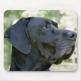 Great dane Mousepad