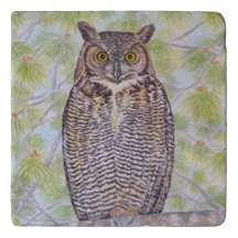 Great Horned Owl