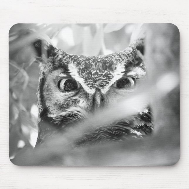 Great Horned Owl Photo Mouse Pad Black & White (Frente)