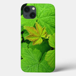 Green Deixa Ipad Air Case