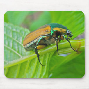 Green June Beetle Mousepad