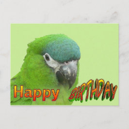 Green Lorikeet Happy Birthday Cust. Cartão Postal