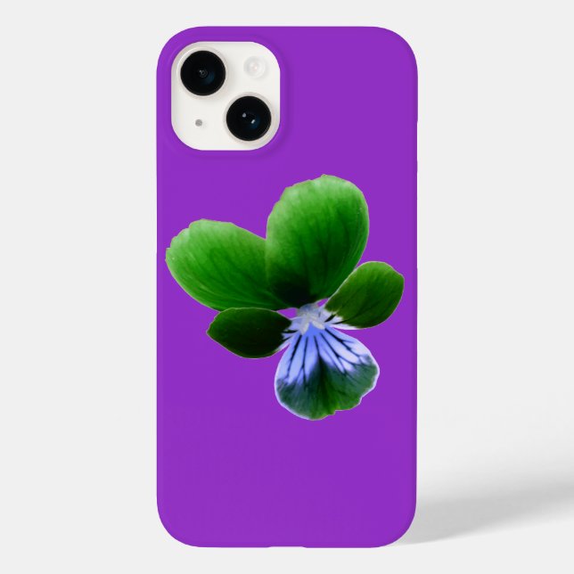 Green Pansy (Verso)