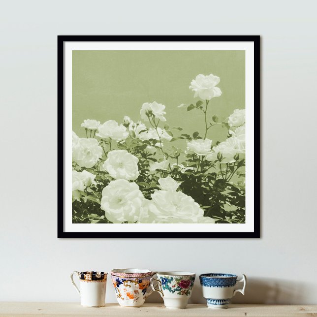 Green Roses Floral Garden Photo Art Print Poster (Criador carregado)