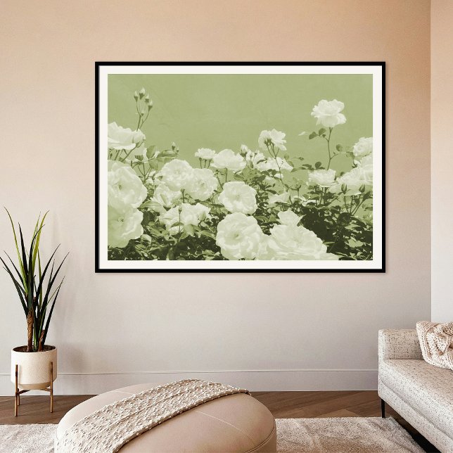 Green Roses Floral Garden Photo Art Print Poster (Criador carregado)