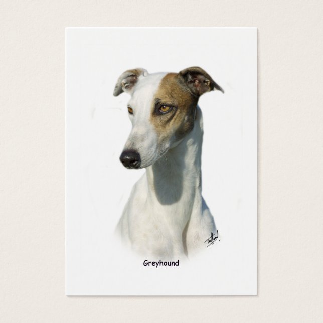 Greyhound 9K71D-17 (Frente)