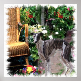 Greyhound Art Impressão